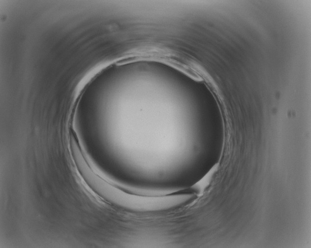 X0000083061344200702161747