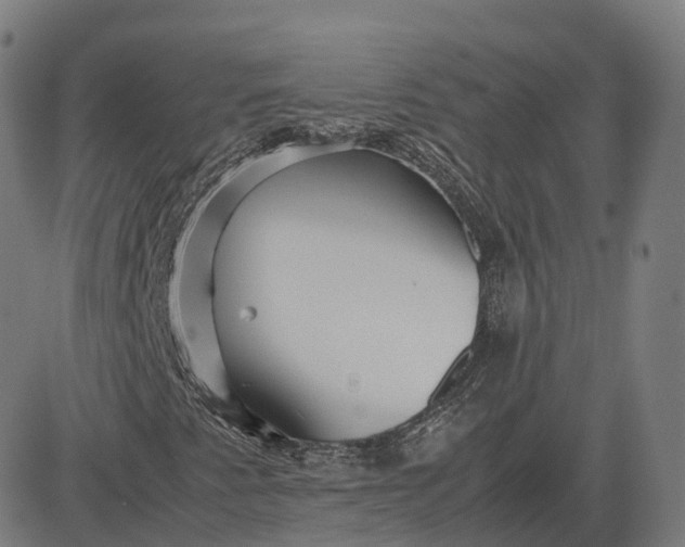 X0000083061345200702161746