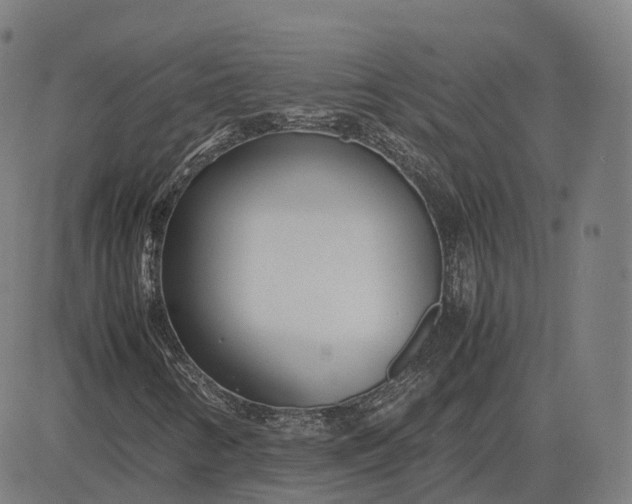 X0000083061346200702161746