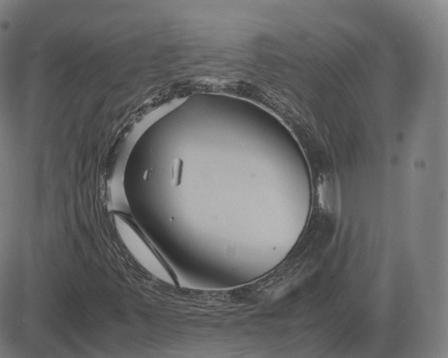 X0000083061347200702161746