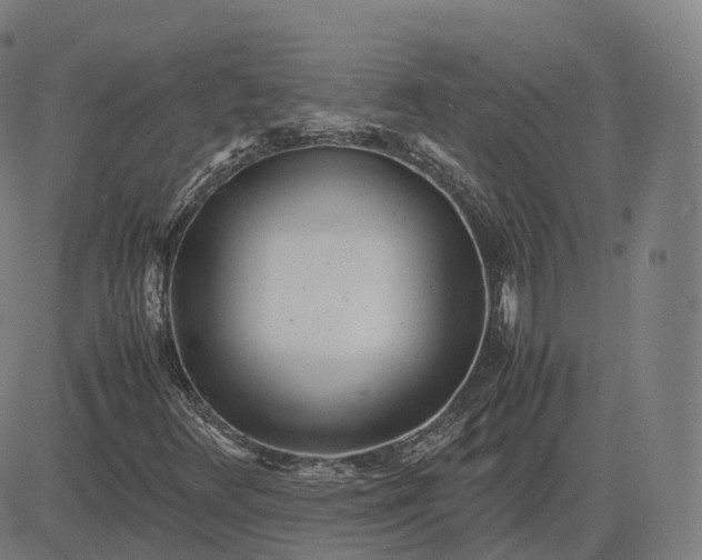 X0000083061348200702161746