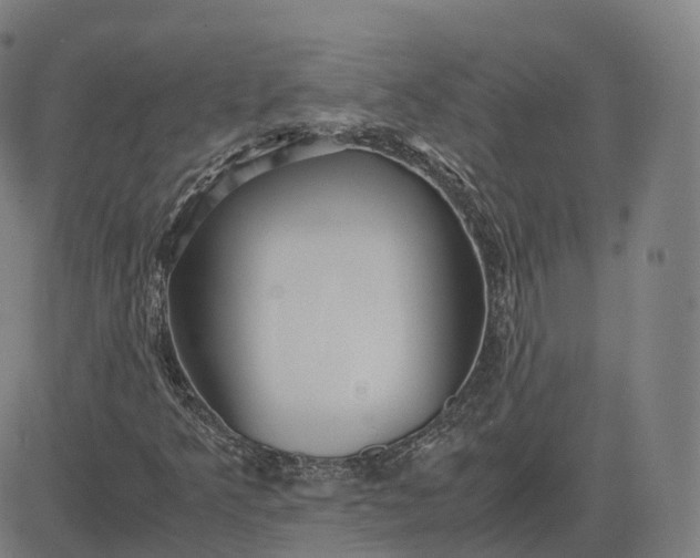 X0000083061349200702161746