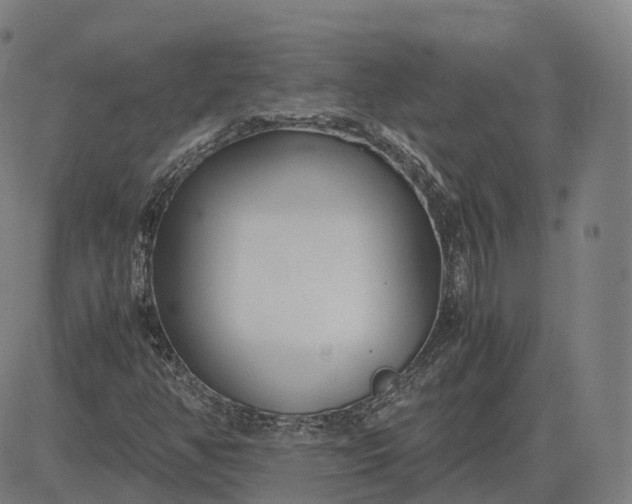 X0000083061350200702161746