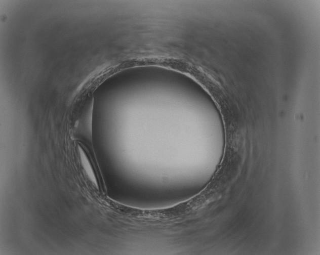 X0000083061351200702161746