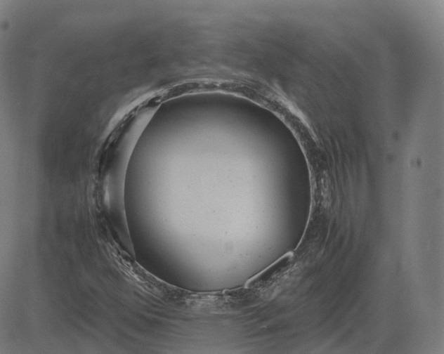 X0000083061352200702161746