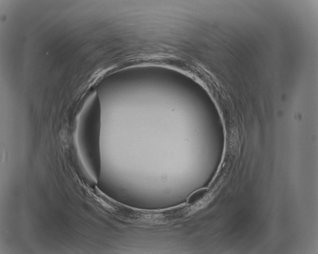 X0000083061353200702161746