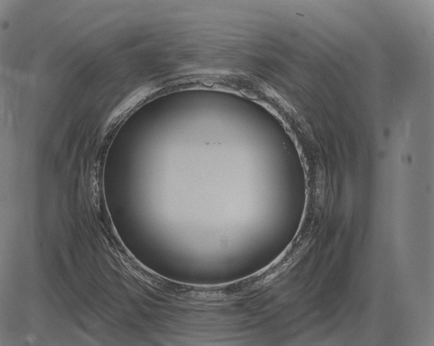 X0000083061354200702161746