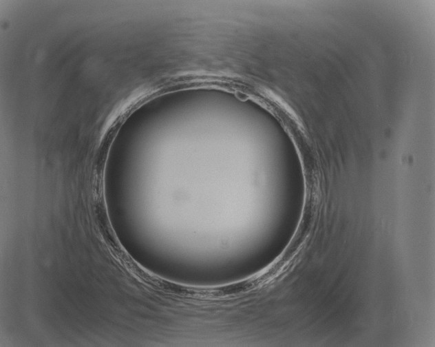 X0000083061357200702161746