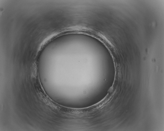 X0000083061358200702161746