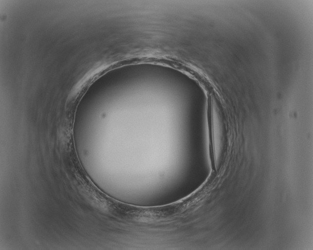 X0000083061359200702161746