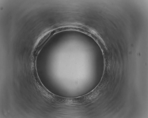 X0000083061360200702161746