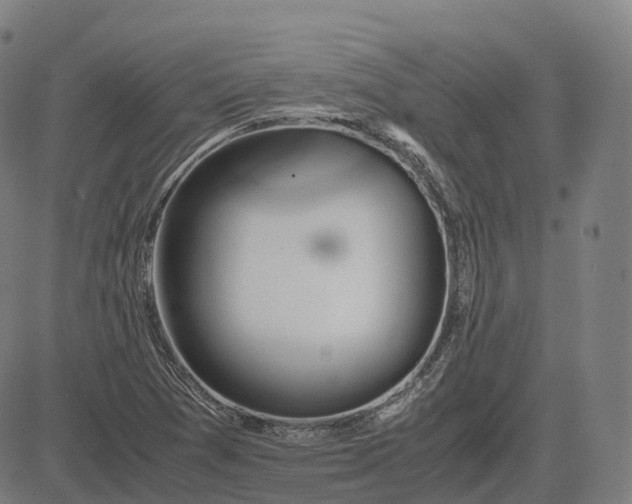 X0000083061361200702161746