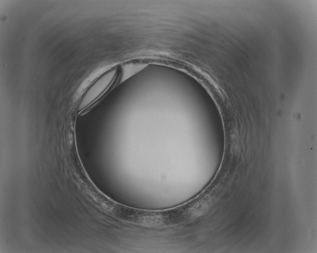 X0000083061363200702161746