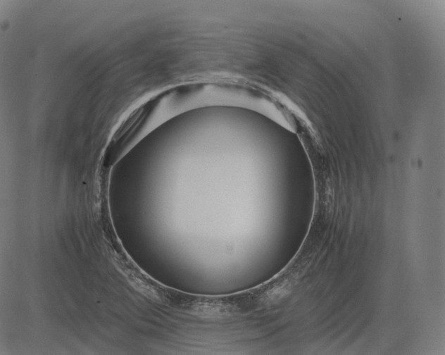 X0000083061364200702161746