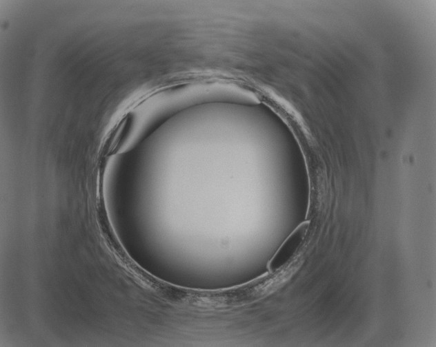 X0000083061365200702161746