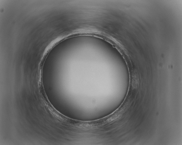 X0000083061366200702161746