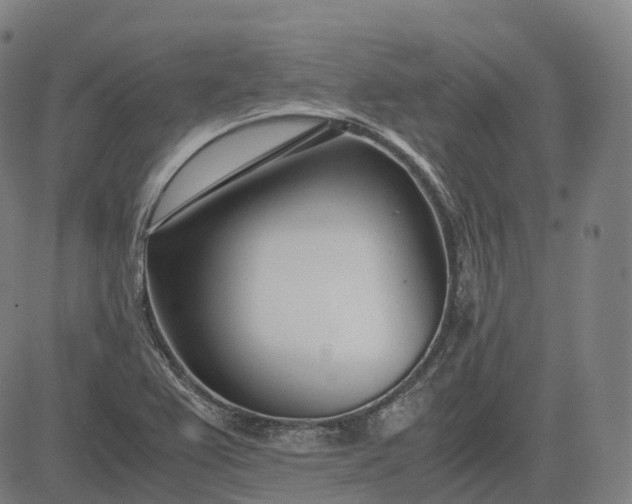 X0000083061367200702161746