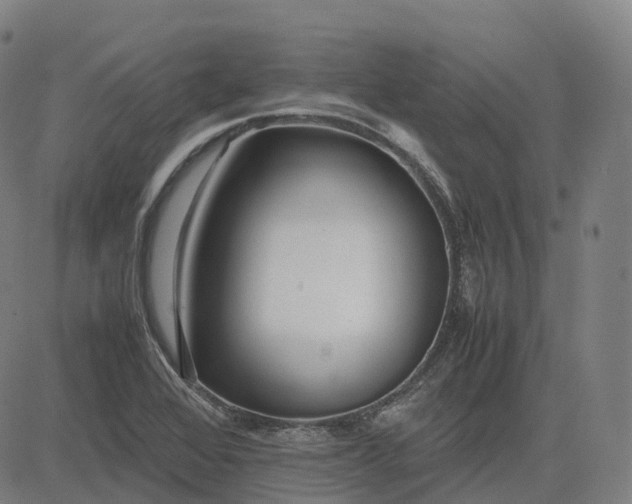 X0000083061368200702161746