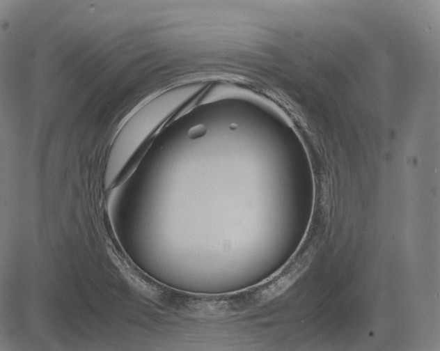 X0000083061369200702161746