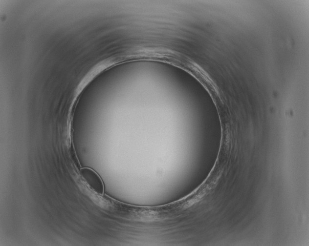 X0000083061370200702161746