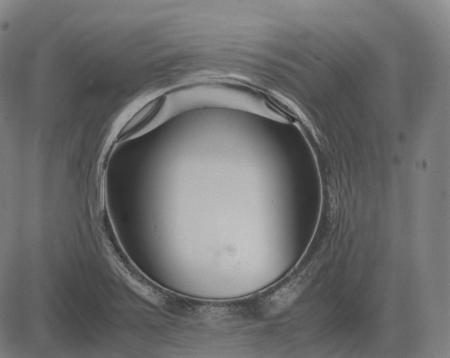 X0000083061371200702161746