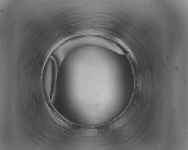 X0000083061372200702161746