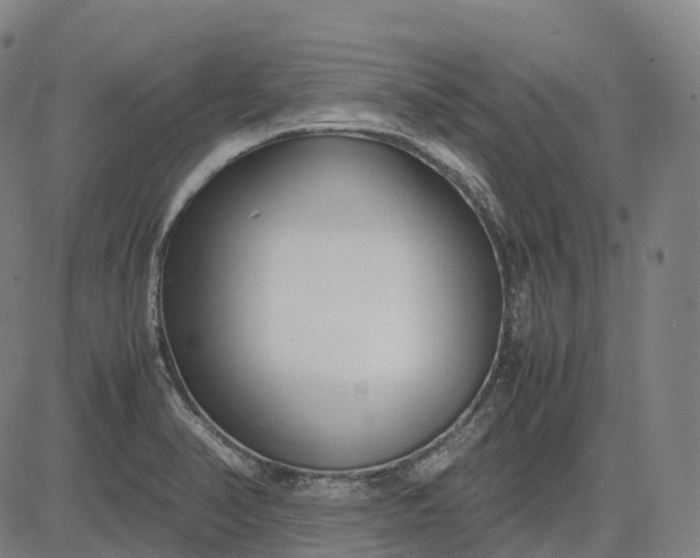 X0000083061374200702161746