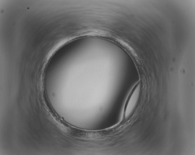 X0000083061375200702161746