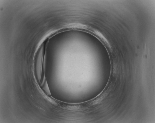 X0000083061376200702161746