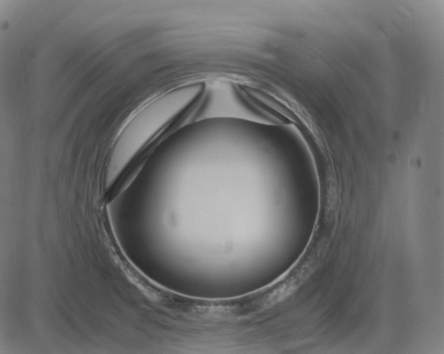 X0000083061377200702161746