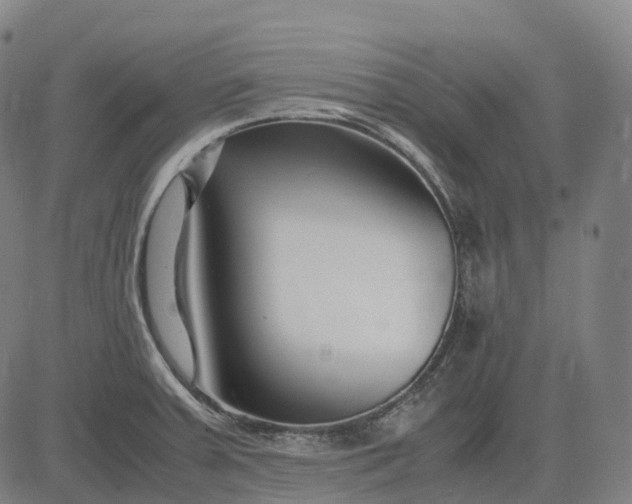 X0000083061379200702161746