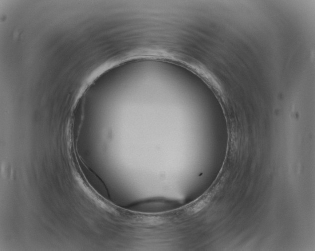 X0000083061382200702161746