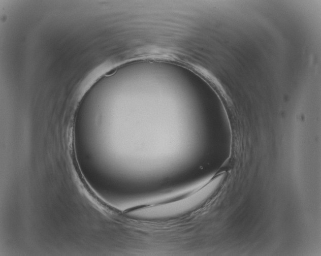 X0000083061383200702161746