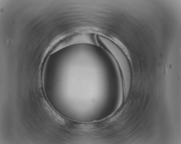 X0000083061384200702161746