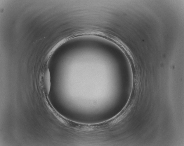 X0000083061385200702161746