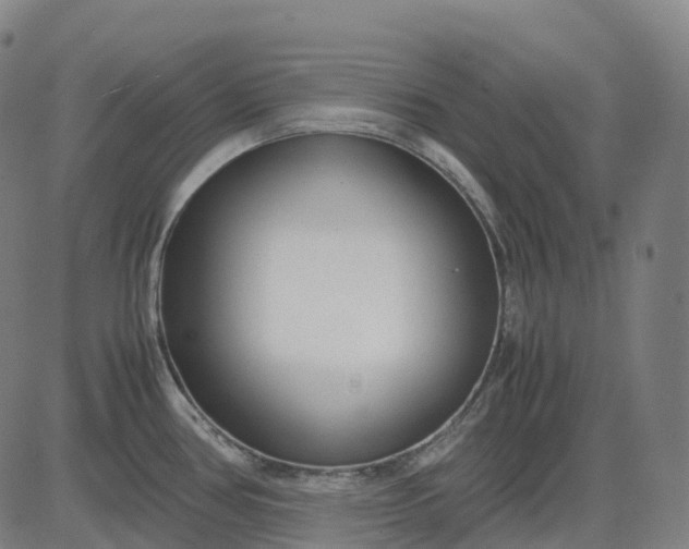 X0000083061386200702161745