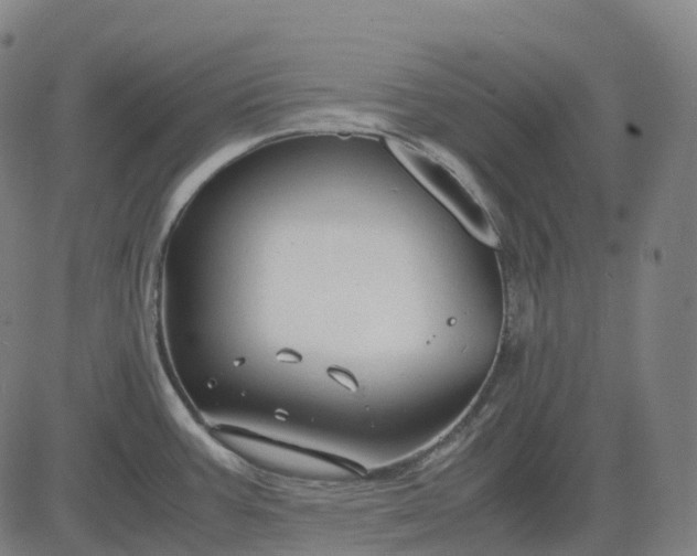 X0000083061387200702161745