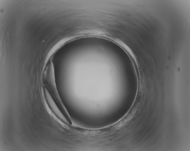 X0000083061389200702161745