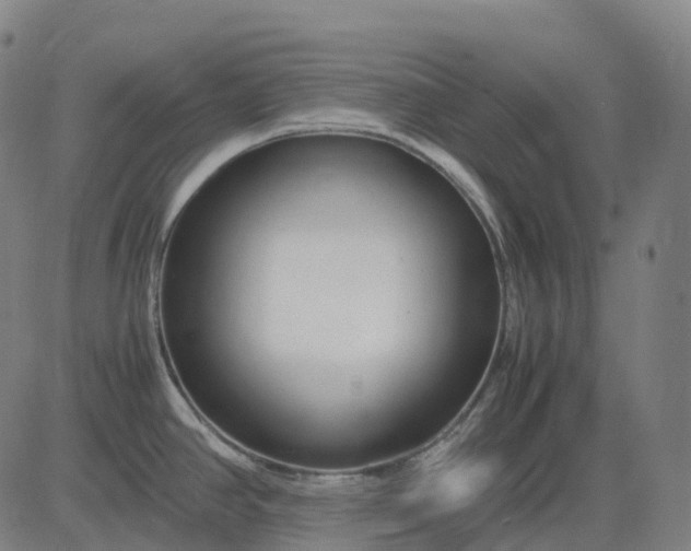 X0000083061390200702161745