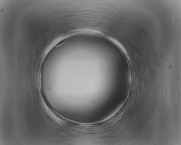 X0000083061391200702161745