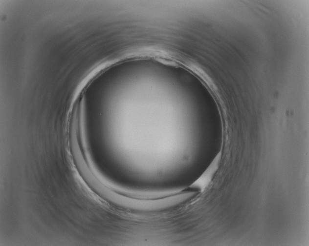 X0000083061392200702161745