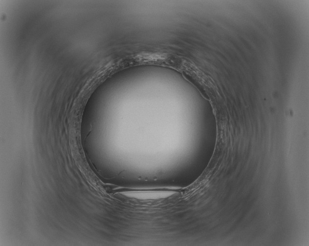 X0000083061393200702161745