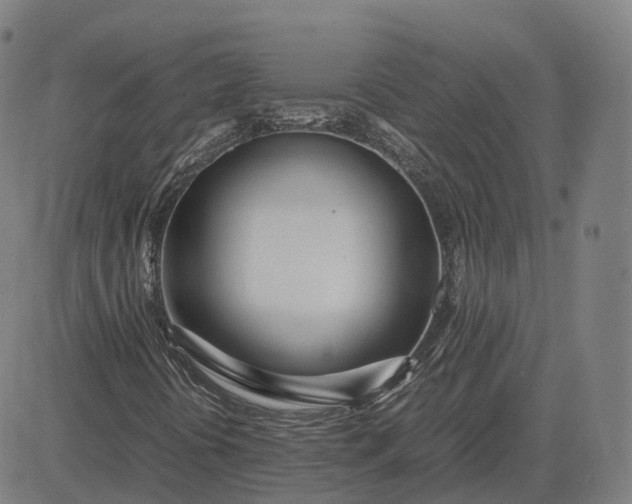 X0000083061394200702161745