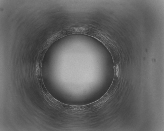 X0000083061395200702161745