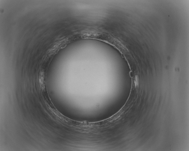 X0000083061396200702161745