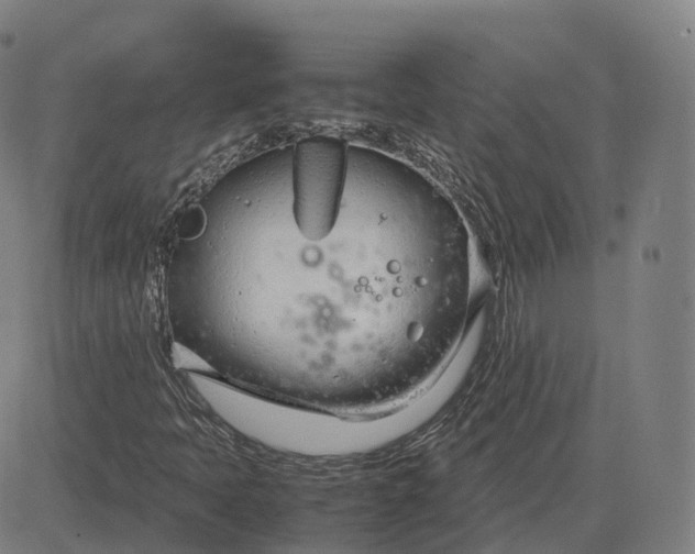 X0000083061397200702161745