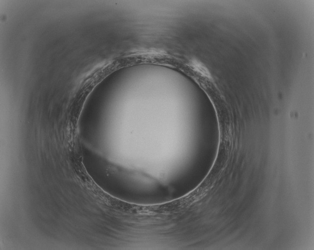 X0000083061398200702161745