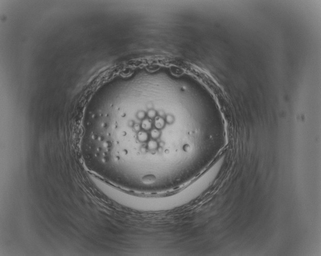 X0000083061399200702161745