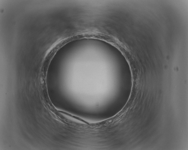 X0000083061400200702161745