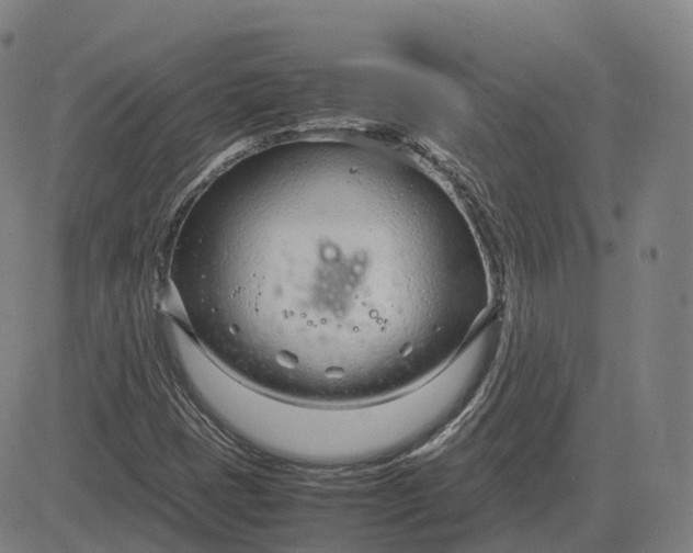 X0000083061401200702161745